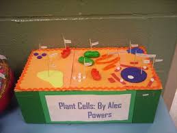 Cell Model Project Bateman Holland Rosenberger Delay Cells Project Plant Cell Project Plant Cell Model