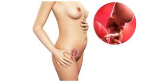 Når du er gravid i uge 6 er din baby ved at forme sit når du er gravid i uge 6, er dit barns ansigt ved at tage form, og du kan risikere at blive ramt af. Gravid Uke 6 Uke For Uke