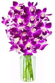 Mother S Day Purple Orchid With Vase Eflowerwholesale Https Www Amazon Com Dp B00v5guah6 Ref Cm Dendrobium Orchids Orchid Flower Arrangements Purple Orchids