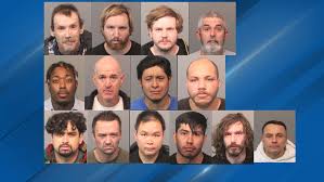 Fourteen arrested in northern Nevada in connection with child sexual  exploitation crimes