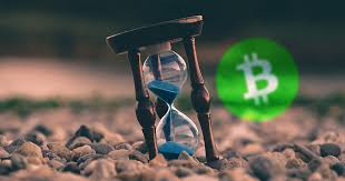 Bitcoin had grown over 33x from it's price before the second halving and over 1,818x from its price before the first halving. Bitcoin Cash S Halving Led To A 100 Minute Block Time 10x Higher Than Normal Cryptoslate