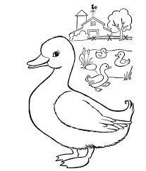 Free Printable Duck Coloring Pages In 2020 Animal Coloring Pages Preschool Coloring Pages Abc Coloring Pages