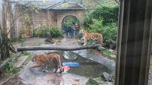 De beste restaurants in amersfoort, nederland. Dierenpark Amersfoort Picture Of Amersfoort Zoo Tripadvisor
