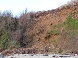 Elle va complètement se vautrer dans le sable. Amis Riverains De L Anse De Primel