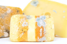 There are ways to redeem your cheese. Cheese Mold Is Mould On Cheese Harmful Curd Nerd