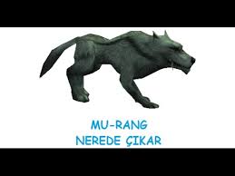 Metin2 Tr Mu Rang Nerededir Nerede Cikar Youtube