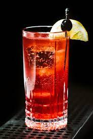 Classics To Know Sloe Gin Fizz Recipe Gin Fizz Gin Cocktails Gin Fizz Recipe