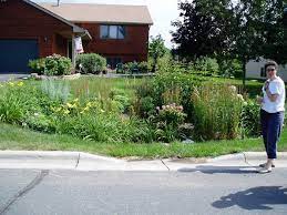 A rain garden collects water runoff and allows it to soak into the ground. Rain Gardens Mcwd Minnehaha Creek Watershed District