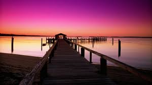 Pink rose flower, sunset, sunlight, flowers, pink roses, nature. 27 Pink Sunset Wallpapers Wallpaperboat