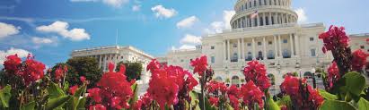 Maybe you would like to learn more about one of these? Top 20 District Of Columbia Us Cabin Rentals Vrbo