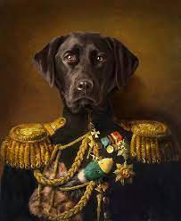Give your cherished pet pride of place with a completely unique masterpiece. The Handsome Mambo Lives With George In Wellington Nz Millions Of Unique Designs By Independent Arti In 2020 Animal Portraits Art Pet Portraits Custom Pet Portraits