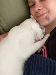 Pls guys Joshua Moses Has not been online for days and am been trying his  number is off,pls anyone has heard from him?