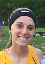 Greater Lansing high school cross country preview