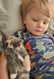 Name suggestions for little girl cat?