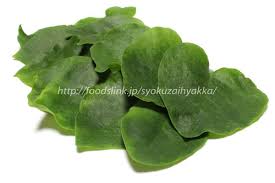 オカワカメ おかわかめ アカザカズラ 雲南百薬 旬の野菜百科