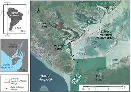 Care pest & wildlife control ltd. Frontiers Persistent Organic Pollutants And Mercury In Genetically Identified Inner Estuary Bottlenose Dolphin Tursiops Truncatus Residents Of The Guayaquil Gulf Ecuador Ecotoxicological Science In Support Of Pollutant Management And Cetacean