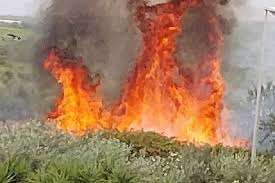 Attorno alle 14 di oggi la mansarda di un palazzo al civico 2 è andata a. Corato Scoppia Un Incendio In Via Mangilli Fiamme Lambiscono La Sede Della Sanb