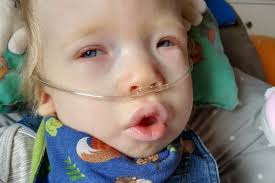 Fundraiser by Johanna Martha Luisa Schönert : Milos letzte Reise