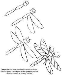How To Draw Insects Name Drawings Bugs Drawing Easy Drawings