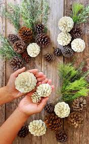 Easiest 5 Minute "Bleached Pinecones" {Without Bleach!} - A Piece Of Rainbow