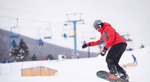 Operates a bus from johnson city to new. The Best Airbnb Cabins And Condos For Families At Camelback Mountain Budget Your Trip