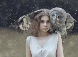 Pin By Namarie Dalit On Fairy Tales Ending Owl Animals Beautiful Animals