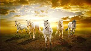 Seven horses painting white horse painting horse canvas painting large painting horse paintings pastel paintings horse wallpaper animal wallpaper wallpaper backgrounds. Seven Horses Wallpapers Wallpaper Cave