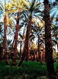 دي مراتب في احد عنابر مستشفى القطينه و لكم ان تتخيلو الباقي. Ø§Ù„Ù‚Ø·ÙŠÙ†Ù‡ Ø¨Ù„Ø¯ÙŠ Ø§Ù„Ø¬Ù…ÙŠÙ„Ù‡ ØªØ­Ù…ÙŠÙ„ O U O UË†o O U UË†o U O UË†o O U UsuË†u The Sudan And The Sudanese 2018 Ù‚Ø¯Ù…Øª Ø§Ù„Ø³ÙŠØ¯Ø© ÙÙŠØ±ÙˆØ² Ø­ÙˆØ§Ù„ÙŠ Ø§Ù„ 800 Ø£ØºÙ†ÙŠØ© Ø«Ù„Ø§Ø«Ø© Ø£ÙÙ„Ø§Ù… Ø£Ø±Ø¨Ø¹Ù…Ø§Ø¦Ø© Ø£Ù„Ø¨ÙˆÙ… ÙˆØ§Ù„Ø¹Ø¯ÙŠØ¯ Mardell Piland