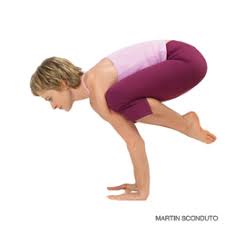 Frog pose, or bhekasana (from the sanskrit words bheka meaning frog and asana for pose), is an advanced backbend yoga pose that requires practice and proper flexibility. What Is The Difference Between A Crane Pose And A Frog Tuck Physical Fitness Stack Exchange