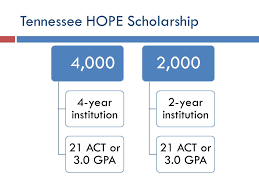 These programs offered at the university of west georgia are the hope scholarship, the zell miller scholarship, and accel. Tennessee Hope Scholarship Ppt Download
