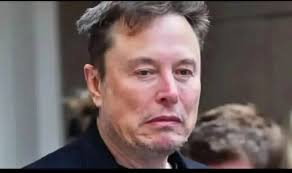 CLICK ON THIS LINK DOWN HERE AND CLAIM YOUR GIFT 📦🚗🥀 ON WHATSAPP  👇❣️❣️👇 https://wa.me/+13045311126