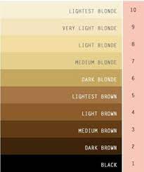 In painting, brown is generally made by adding black to orange. What S The Difference Between Very Dark Blonde And Light Brown Hair Quora