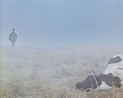 Неточности в фильме «иди и смотри». 1000 Samyh Krasivyh Filmov Vypusk 429 Altereos Livejournal