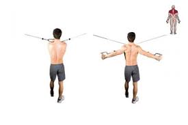 Rear delt fly muscles worked. Reverse Cable Crossover Bodybuilding Wizard