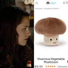 twilight characters and their jellycats 🫡