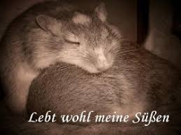 Danke, dass ihr uns geholfen habt! Ich Werde Euch Vermissen Memorial Rennmaus De Community