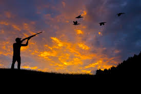We did not find results for: Chasse Petit Gibier Coucher De Soleil Bird Hunting Hunting Dog Silhouette