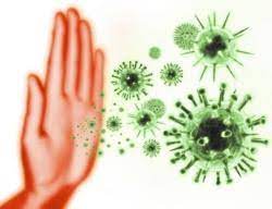 Oft schon wenige stunden nach der ansteckung kommt es zu folgenden. Norovirus Hoch Ansteckend Und Im Winter Besonders Aktiv Proplanta De