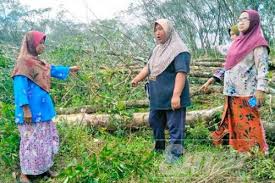 1 ekar bersamaan berapa hektar. Kebun Getah Dirampas Mana Pembelaan Ulama Suara Pakatan Daily