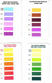 50 Methodical Reef Master Test Kit Color Chart