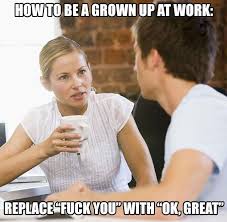 Ok Great Real Meaning Lol Work Humor Work Memes Funny Quotes