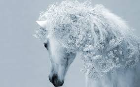 We did not find results for: Wallpaper Download 5120x3200 Fantasy White Horse Fantastic Horse Hair Horses Wallpapers Animals Wallpapers Downloa Horse Wallpaper Beautiful Horses Horses