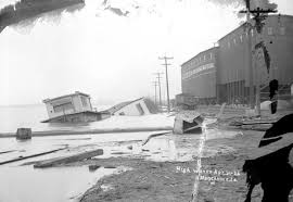 Image result for Red Marina 1993 UMM