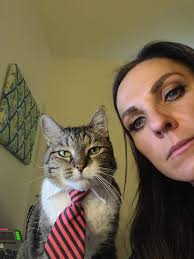 I'm a lawyer and we do video court several times a day. Karl always hops