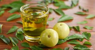 Check spelling or type a new query. What Is Neem Oil How To Use And When To Use