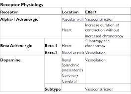 adrenergic receptor physiology the unofficial university