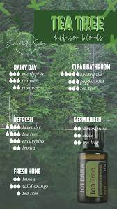 Air Humidifier Oils Melaleuca Essential Oil Essential Oil Blends Diffuser Blends