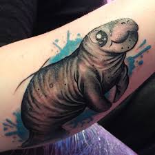 Manatees (and dugongs) closest relative is the elephant! Last Week I Had The Honor To Tattoo This Manatee Oc Imgur