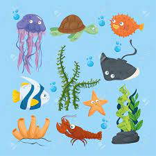 Xxx And Wild Marine Animals In Ocean, Sea World Dwellers, Cute Underwater  Creatures, Undersea Fauna Of Tropic Vector Illustration Design Клипарты,  SVG, векторы, и Набор Иллюстраций Без Оплаты Отчислений. Image 151275025