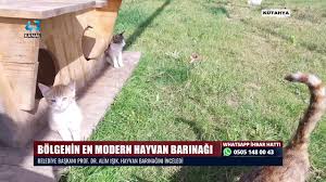 Bolgenin En Modern Hayvan Barinagi Youtube
